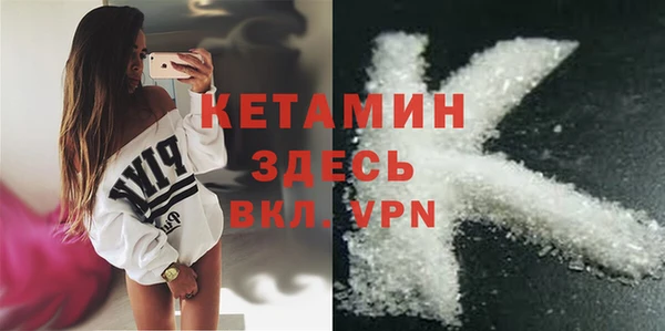 трава Аркадак