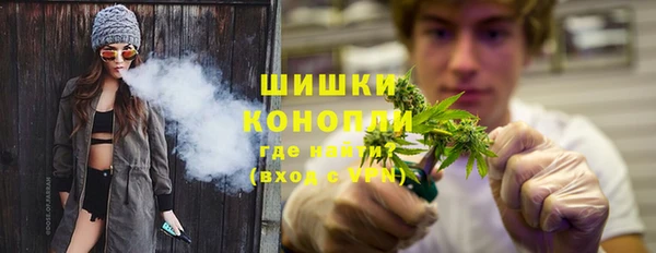 прущие грибы Арсеньев