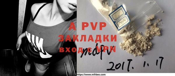 прущие грибы Арсеньев