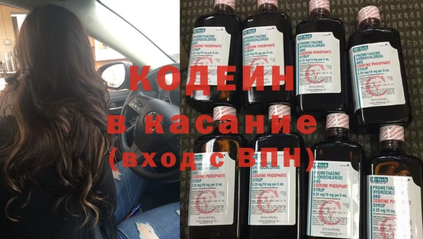 прущие грибы Арсеньев