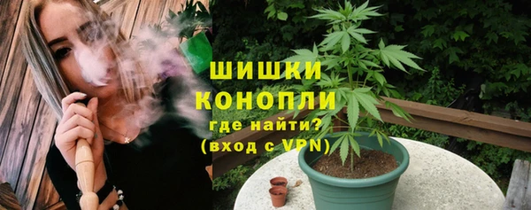 прущие грибы Арсеньев