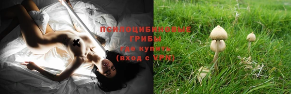 трава Аркадак