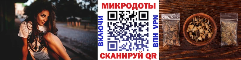как найти   Мосальск  Галлюциногенные грибы Magic Shrooms 