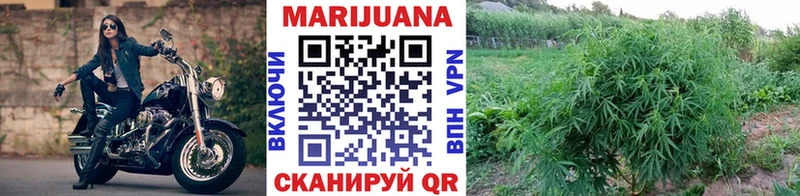 МАРИХУАНА OG Kush Мосальск